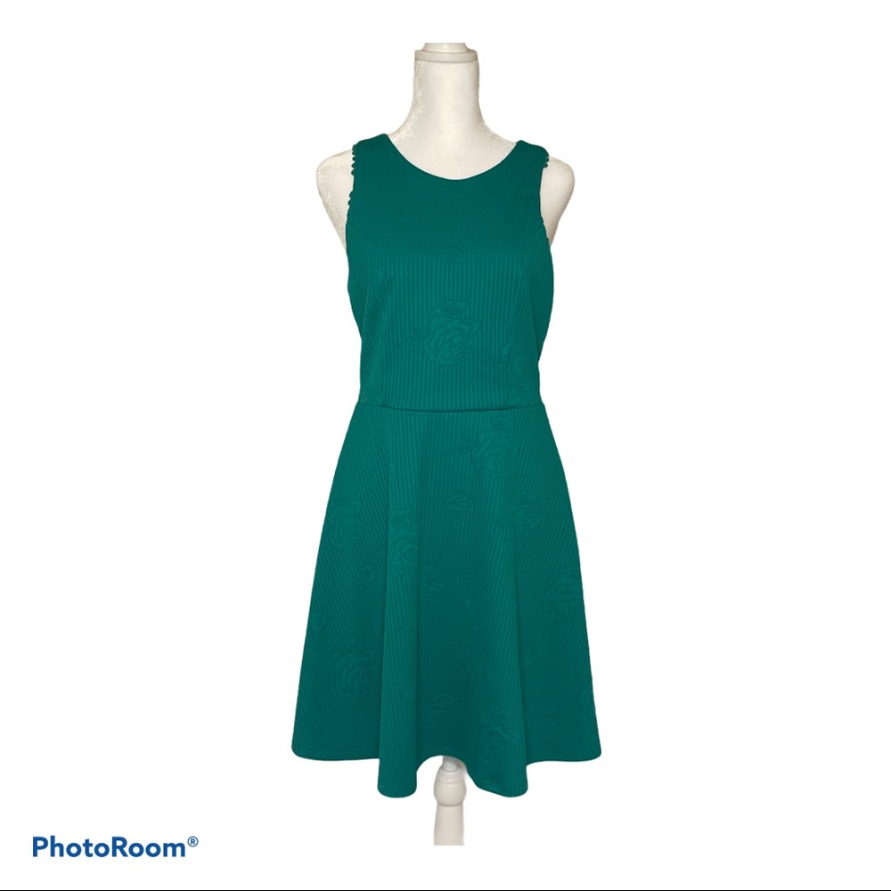 Alga by Francesca's Green Embossed Floral Dress M